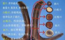 鹿茸片怎么看真假？鹿茸片真假的辨別方法