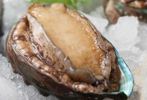 如何挑選優(yōu)質(zhì)鮑魚？鮑魚的挑選方法