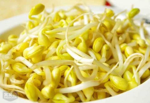 如何發(fā)黃豆芽？家庭怎么發(fā)黃豆芽