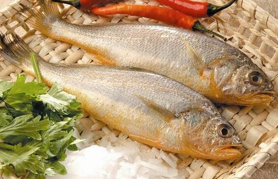 如何辨別染色黃魚？辨別染色黃魚的方法
