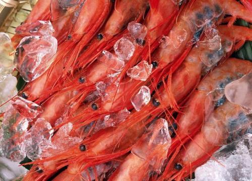 如何選購冷凍食品？食品冷凍別超過兩個月