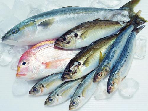 如何區(qū)別冰鮮魚與速凍魚？鑒別海鮮干品質(zhì)量好壞優(yōu)劣的方法