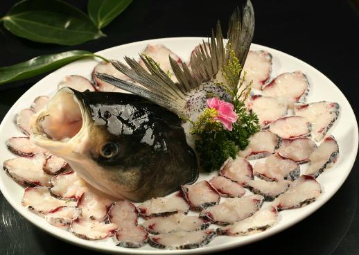 如何辨別常見的淡水魚？常見淡水魚的鑒別方法