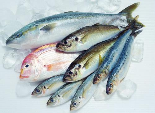如何鑒別污染魚？鑒別污染魚的方法與技巧
