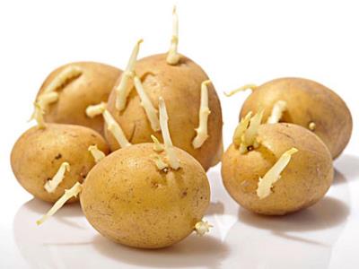 食物不能食用的部位？吃什么會(huì)食物中毒