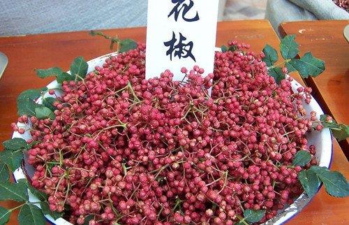 如何識別有毒花椒？毒花椒的鑒別方法