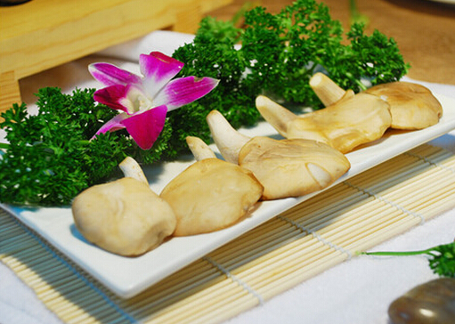 鮑魚(yú)菇的做法-鮑魚(yú)菇的營(yíng)養(yǎng)價(jià)值