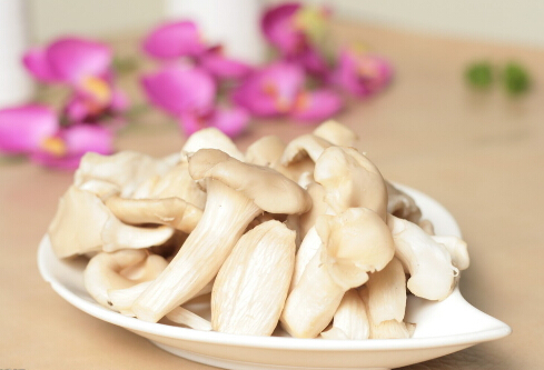 平菇的適宜人群與營養(yǎng)-平菇怎么做好吃？