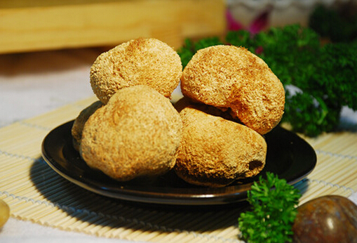 猴頭菇的食療價(jià)值-猴頭菇的家常做法