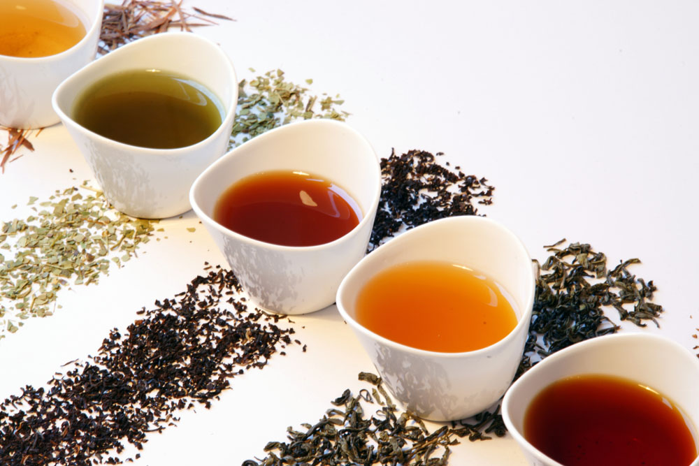 白茶抑菌抗輻射，黃茶人人皆宜