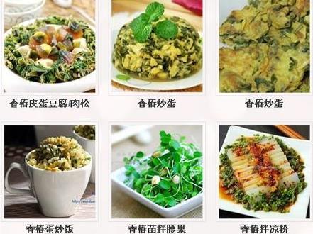 香椿怎么做好吃？香椿的做法