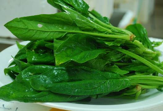 菠菜怎么吃更有營養(yǎng)？菠菜怎么吃更健康