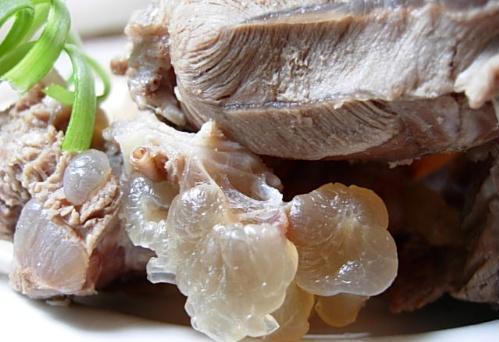 如何燉羊肉？怎么吃羊肉不上火？燉羊肉的做法大全