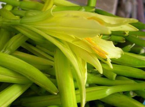 黃花菜怎么做好吃？黃花菜的吃法