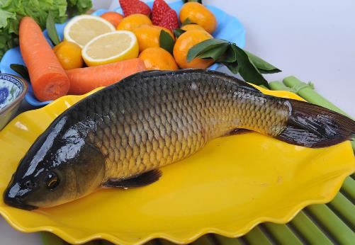 如何烹飪鯉魚？鯉魚怎么做好吃