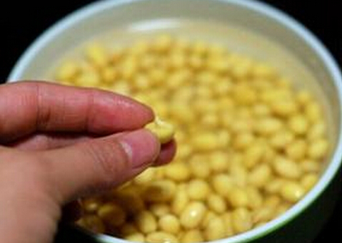 發(fā)芽豆還可以用嗎？發(fā)芽豆打豆?jié){更鮮美