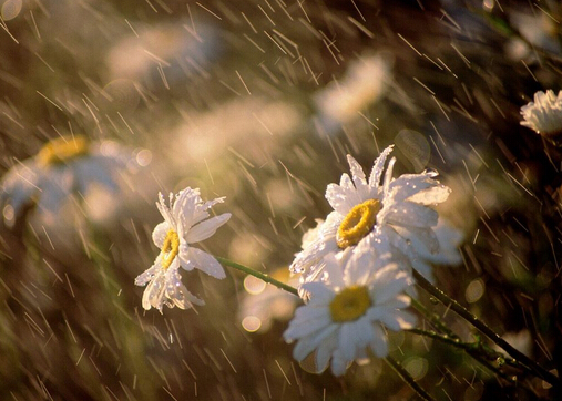 梅雨季節(jié)是什么時(shí)候？梅雨季節(jié)吃什么