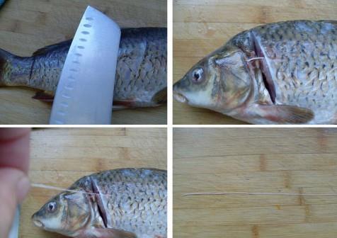 怎樣去除鯉魚的土腥味？鯉魚去除土腥味的方法