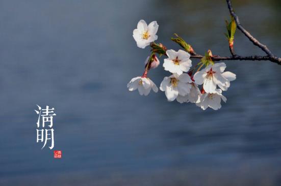 清明是什么時(shí)候？二十四節(jié)氣之清明的由來(lái)與含義