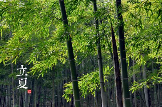 立夏是什么時(shí)候？二十四節(jié)氣之立夏的由來與含義