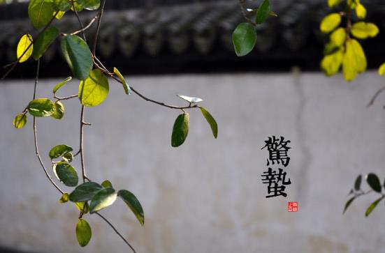 驚蟄是什么時(shí)候？二十四節(jié)氣之驚蟄的由來與含義