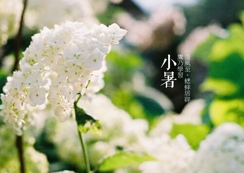 小暑什么意思？小暑怎么預防中暑