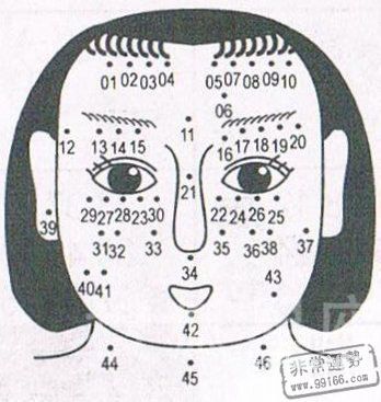 痣相圖解大全，女人痣相圖解，女人面部痣相圖解