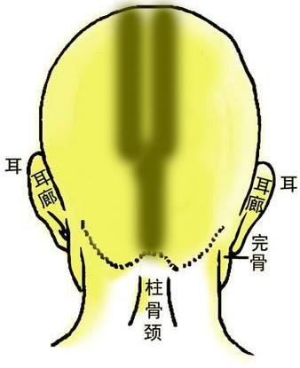 骨相圖解：雙龍金鎖骨