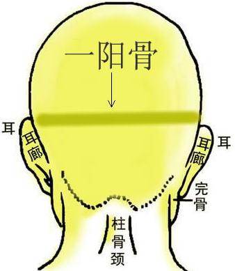 骨相圖解：一陽骨