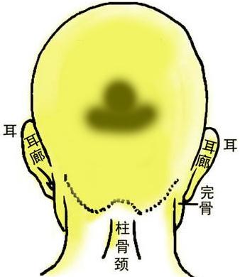 骨相圖解：明珠碧玉骨