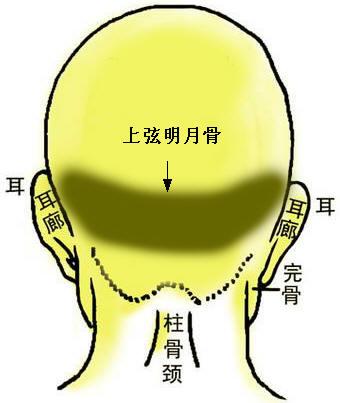 骨相圖解：上弦明月骨