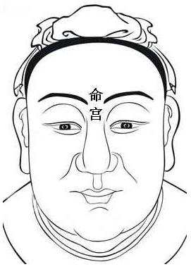 面相算命圖解：面相十二宮圖之命宮