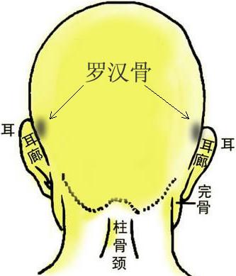 骨相圖解：羅漢骨