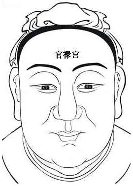 面相算命圖解：面相十二宮圖之官祿宮