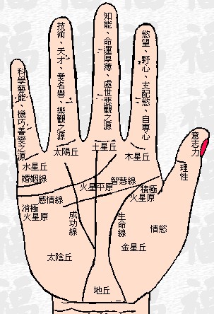 手相算命圖解-看手相算命圖解