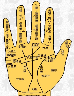 看手相算命圖解:掌丘的占卜