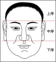 面相學(xué)入門：面相的三停指的是什么