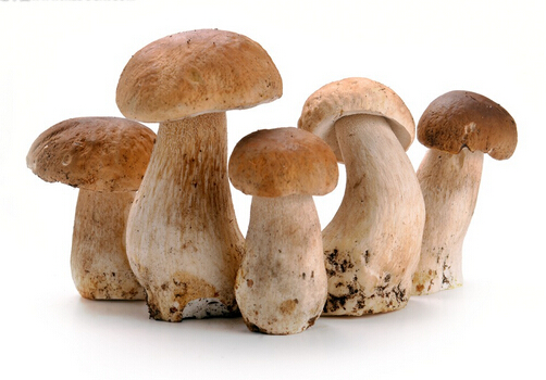 孕婦可以吃草菇嗎？適合孕婦吃草菇的做法