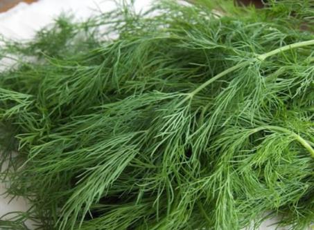 最高鈉蔬菜：茴香、芹菜、茼蒿，不用放鹽。