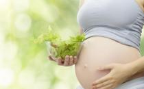 孕婦吃什么好？孕婦飲食能影響孩子壽命？