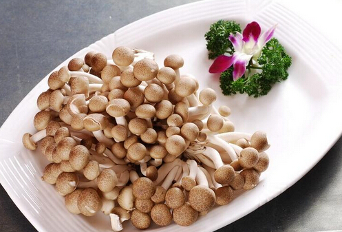 寶寶能吃蟹味菇嗎？怎樣吃蟹味菇才安全