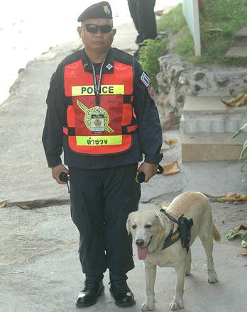泰國警方為加強(qiáng)攻擊力給警犬配槍，警犬專用手槍肩套(組圖)