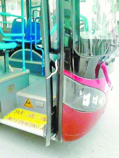 武漢公交車行駛途中驚現(xiàn)1米長毒蛇嚇壞乘客，民警捉走毒蛇并放生