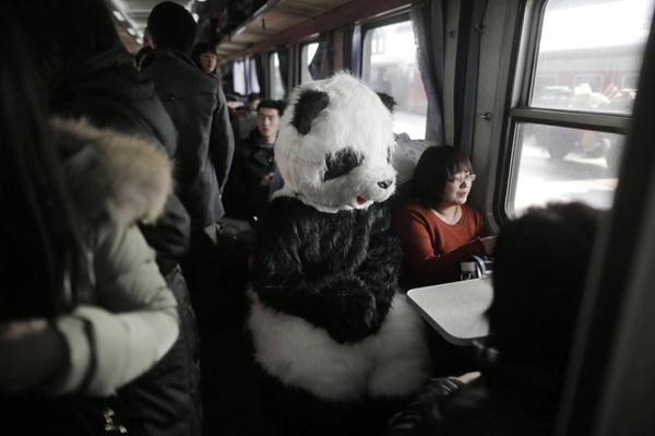 行為藝術(shù)？旅客穿熊貓玩偶服扮成大熊貓體驗(yàn)春運(yùn)遭圍觀