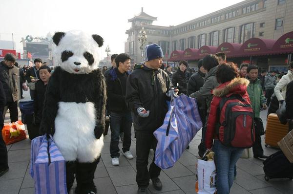 行為藝術(shù)？旅客穿熊貓玩偶服扮成大熊貓體驗(yàn)春運(yùn)遭圍觀