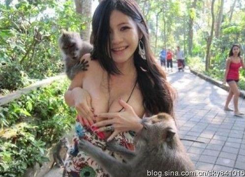盤點(diǎn)胸前被“扒光”事件：喂奶姐、猴抓妹、張柏芝照片