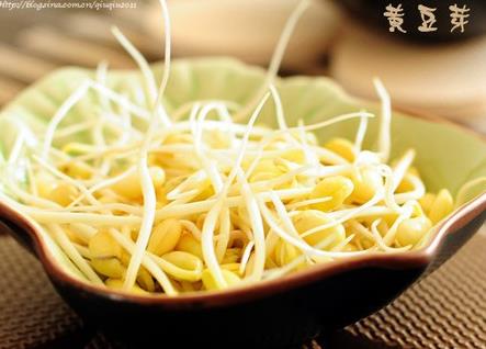 孕婦能吃黃豆芽嗎？孕婦吃黃豆芽的做法