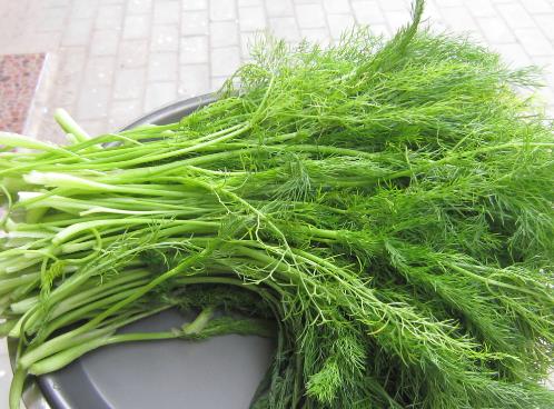 孕婦能吃茴香嗎？孕婦吃調(diào)味品的注意事項(xiàng)