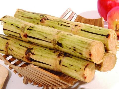 哺乳期能吃甘蔗嗎？哺乳期吃甘蔗有什么好處
