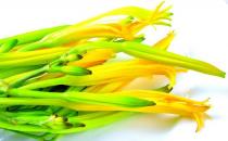 孕婦能吃黃花菜嗎？魚腥草對(duì)孕婦好嗎？